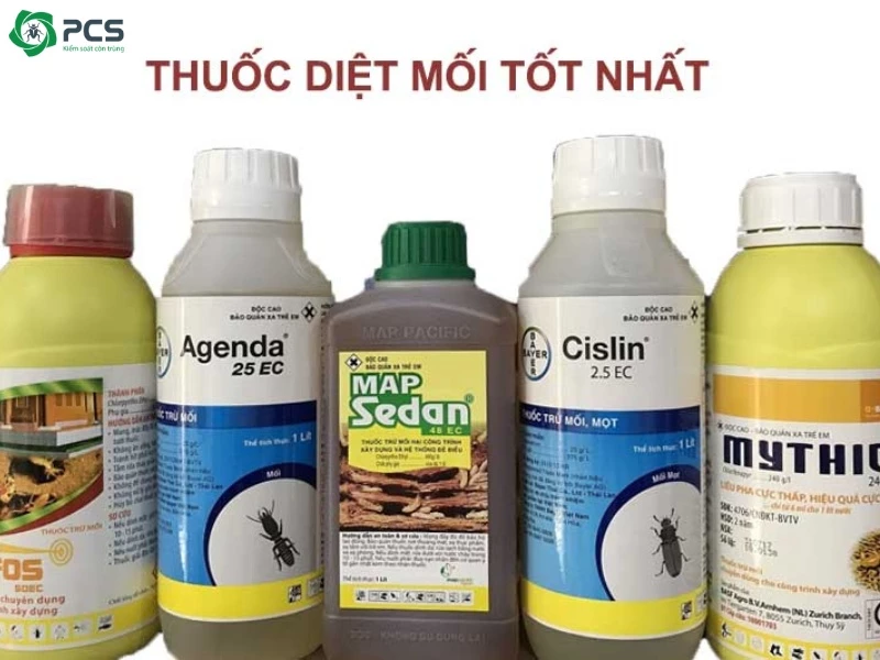 Cách diệt mối đất tại nhà 